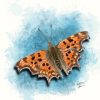 Comma