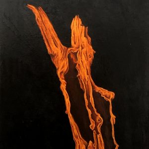 Hollow Tree